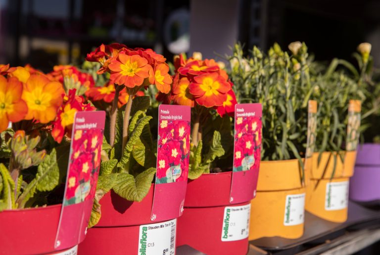 Understanding plant care labels helps you garden better
